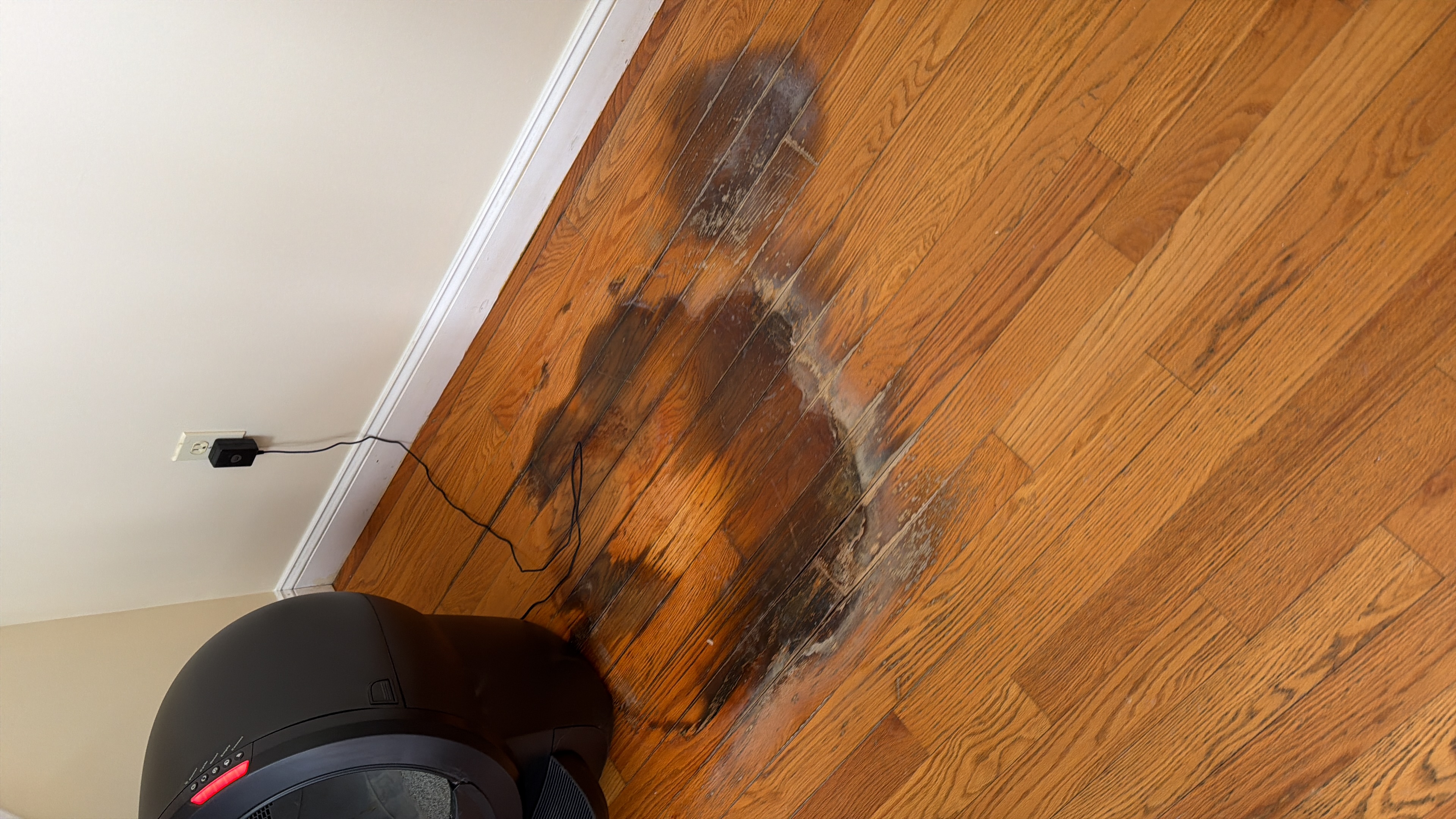 Hardwood Repair 1