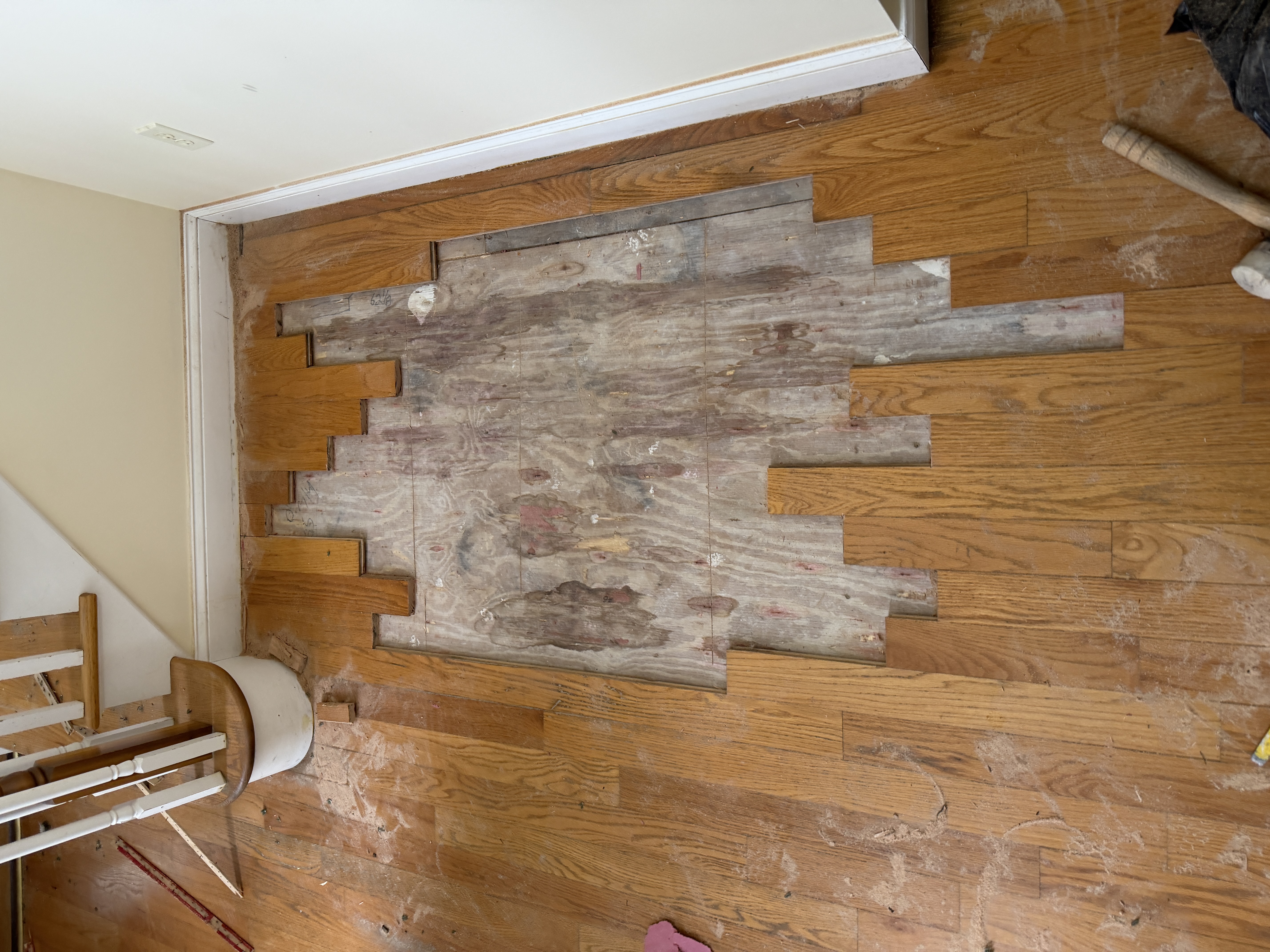 Hardwood Repair 2