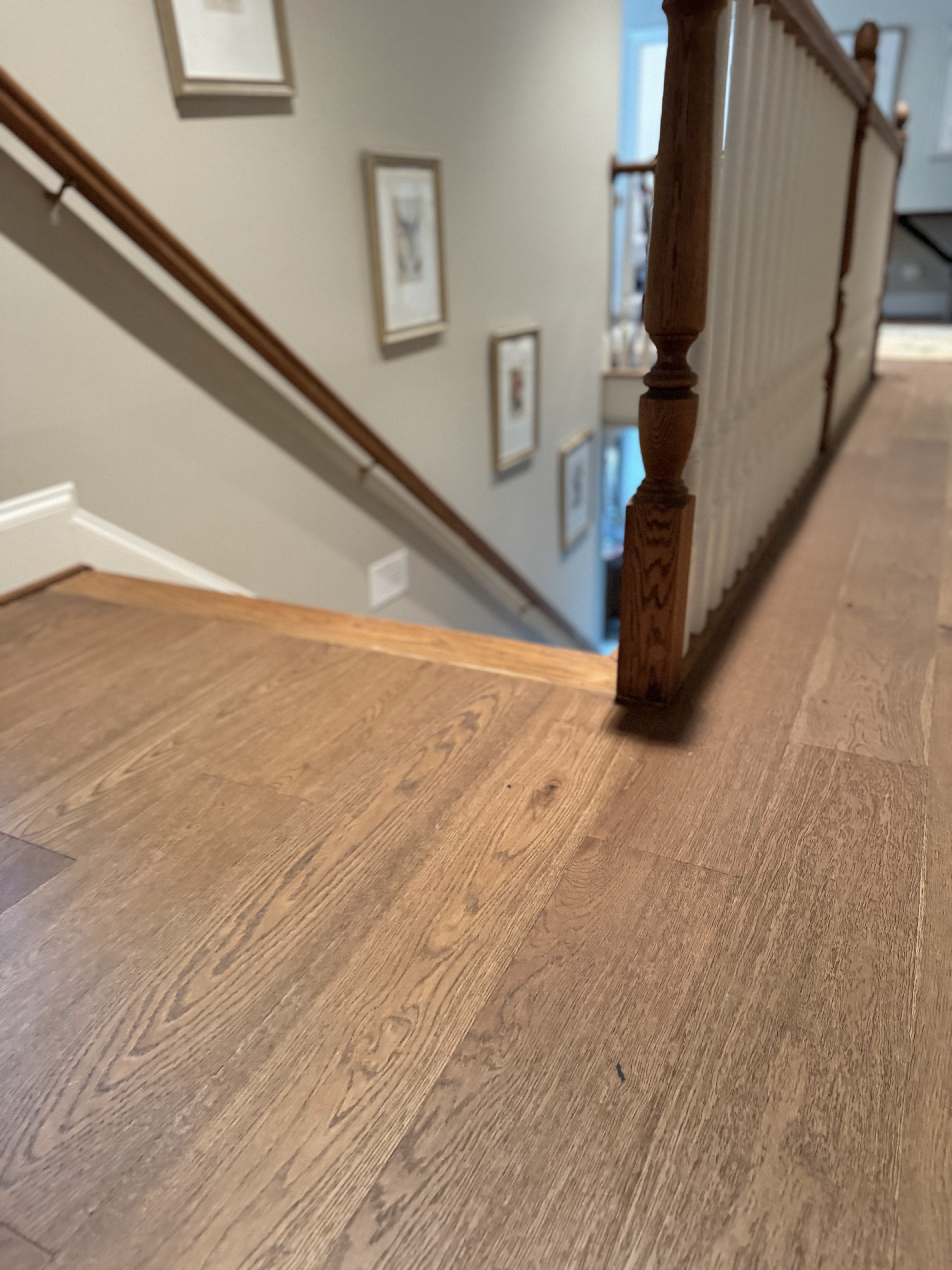 Engineered Hardwood — Room 2 Detail